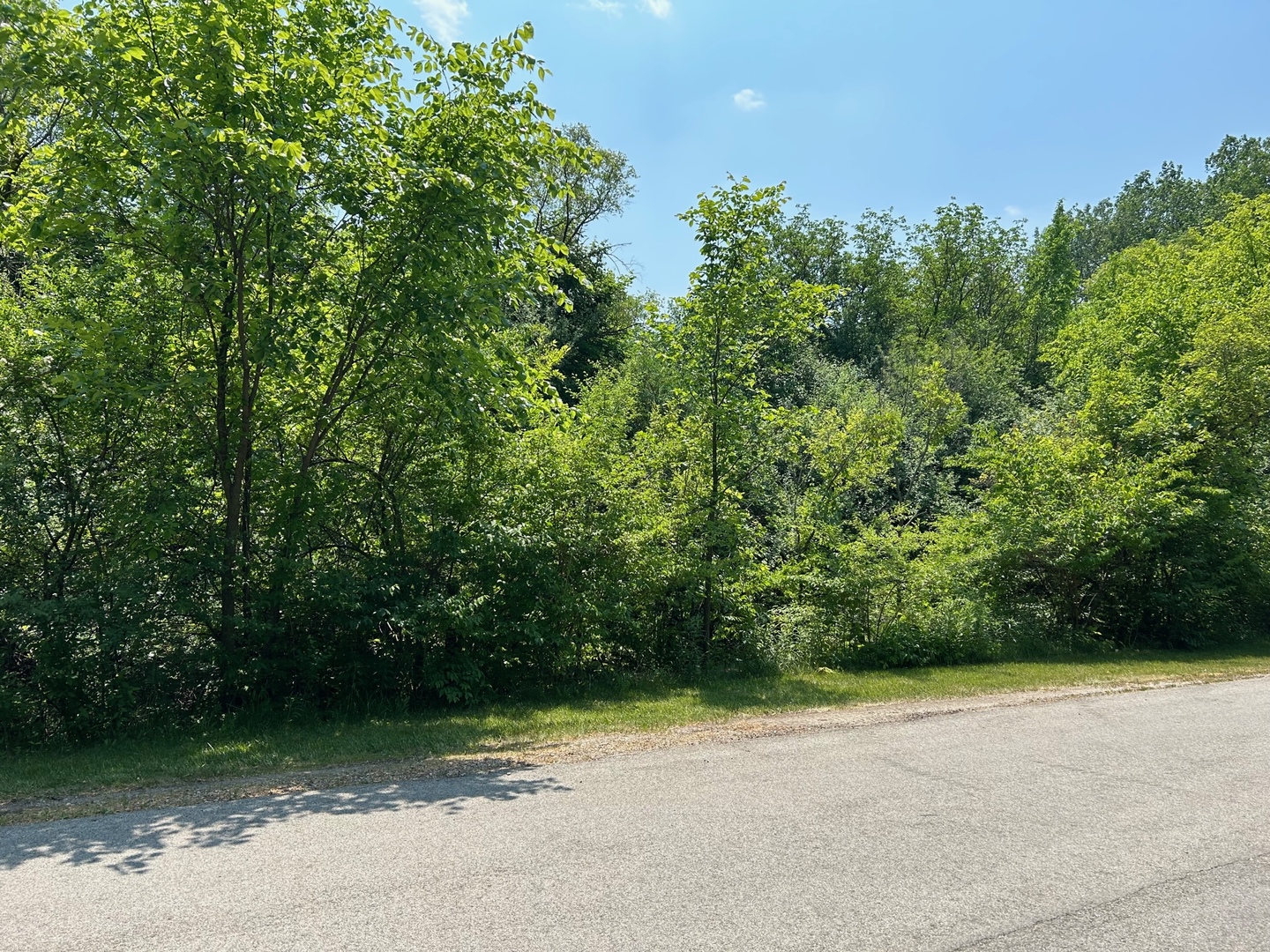 Lot Foster Avenue