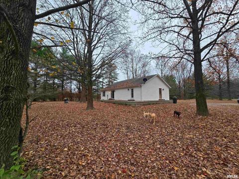 Tiny photo for 11882 E Goshen Meadows Road, Mt Vernon, IL 62864 (MLS # EB460595)