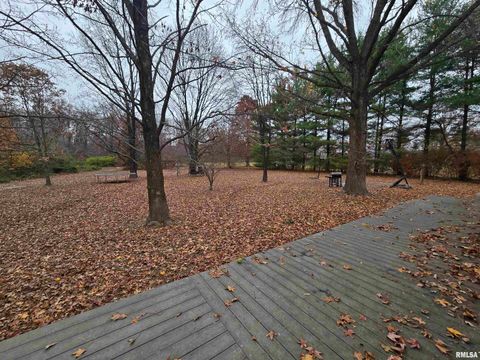 Tiny photo for 11882 E Goshen Meadows Road, Mt Vernon, IL 62864 (MLS # EB460595)