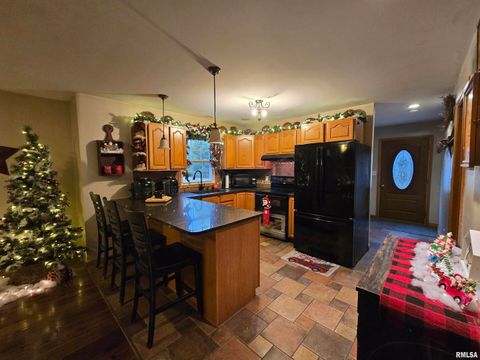 Tiny photo for 11882 E Goshen Meadows Road, Mt Vernon, IL 62864 (MLS # EB460595)