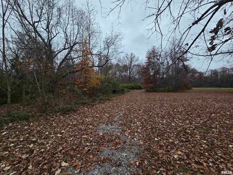 Tiny photo for 11882 E Goshen Meadows Road, Mt Vernon, IL 62864 (MLS # EB460595)