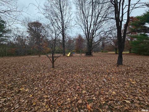 Tiny photo for 11882 E Goshen Meadows Road, Mt Vernon, IL 62864 (MLS # EB460595)