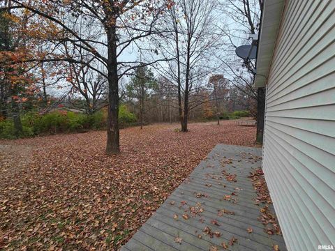 Tiny photo for 11882 E Goshen Meadows Road, Mt Vernon, IL 62864 (MLS # EB460595)
