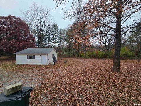 Tiny photo for 11882 E Goshen Meadows Road, Mt Vernon, IL 62864 (MLS # EB460595)