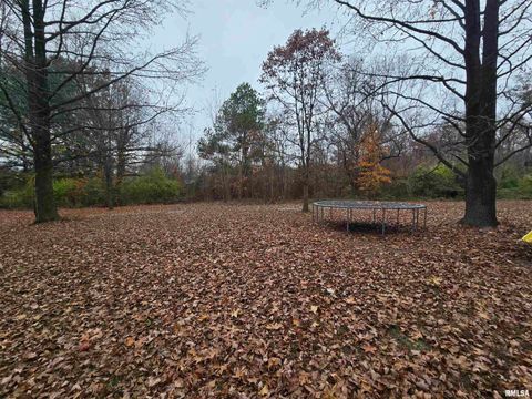 Tiny photo for 11882 E Goshen Meadows Road, Mt Vernon, IL 62864 (MLS # EB460595)