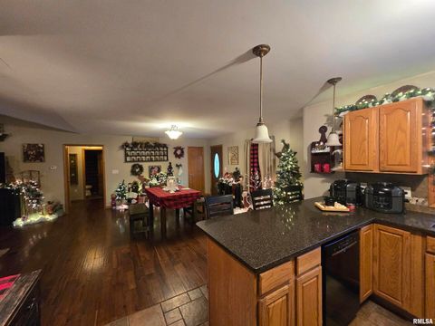 Tiny photo for 11882 E Goshen Meadows Road, Mt Vernon, IL 62864 (MLS # EB460595)