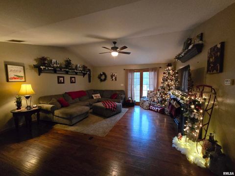 Tiny photo for 11882 E Goshen Meadows Road, Mt Vernon, IL 62864 (MLS # EB460595)