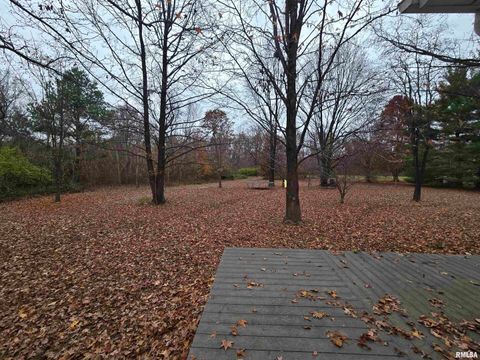 Tiny photo for 11882 E Goshen Meadows Road, Mt Vernon, IL 62864 (MLS # EB460595)