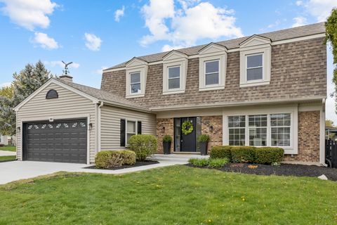 2216 ROMM Court Schaumburg IL 60194