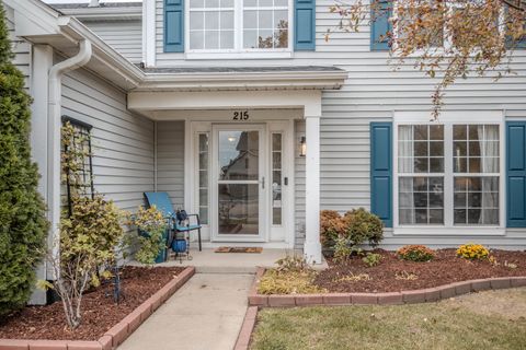 Tiny photo for 215 Alexis Street, Plano, IL 60545 (MLS # 12507700)