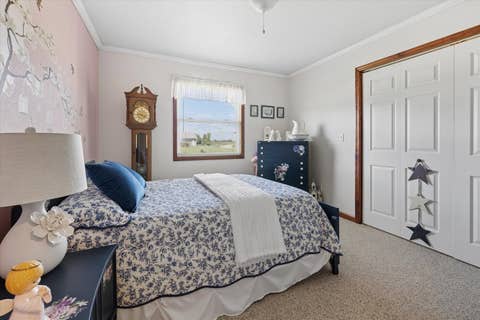 Tiny photo for 21157 Balk Lane, Fulton, IL 61252 (MLS # 12736024)