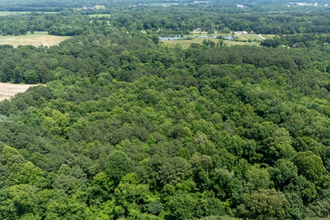 Tiny photo for 13602 Greenbriar Road, Carterville, IL 62918 (MLS # 12669179)
