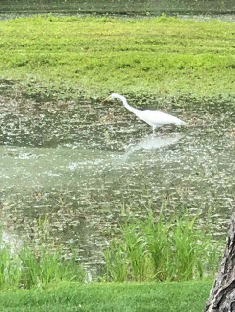 Tiny photo for 15058 W 147th Street, Homer Glen, IL 60491 (MLS # 12614272)