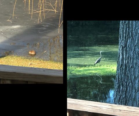 Tiny photo for 15058 W 147th Street, Homer Glen, IL 60491 (MLS # 12614272)