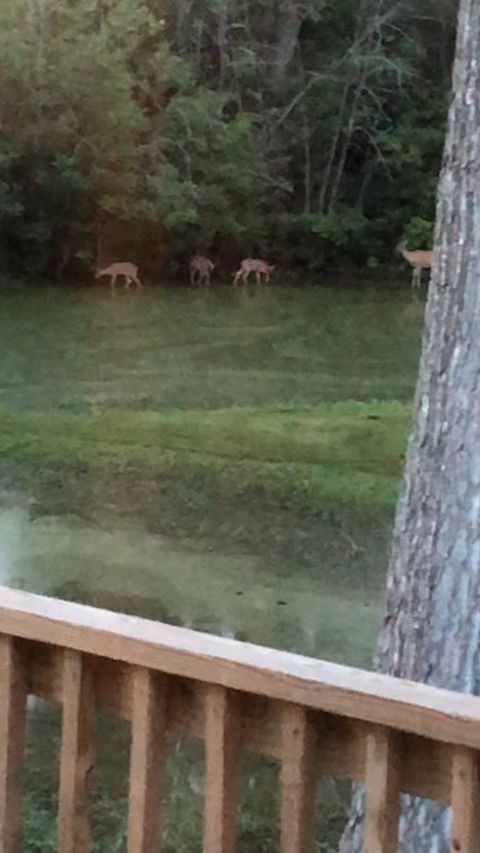 Tiny photo for 15058 W 147th Street, Homer Glen, IL 60491 (MLS # 12614272)