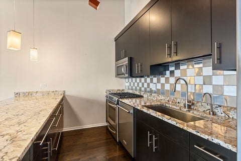 Tiny photo for Chicago, IL 60654 (MLS # 12740917)