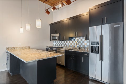 Tiny photo for Chicago, IL 60654 (MLS # 12740917)