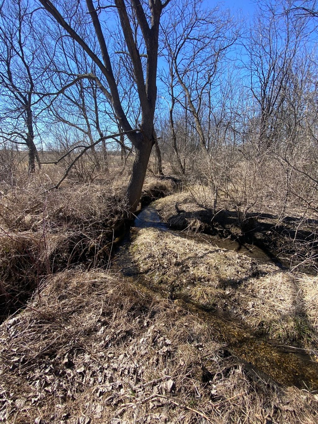 listing image 42