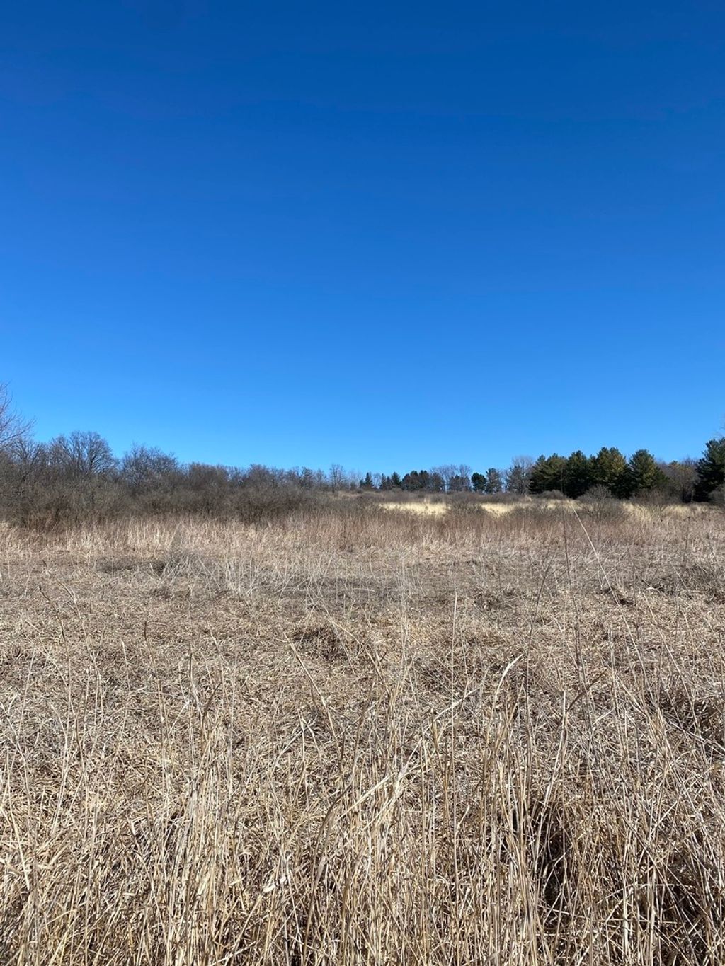 listing image 45