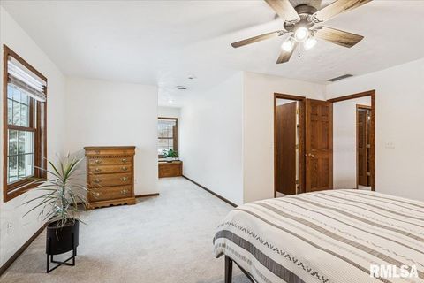 Tiny photo for 2960 265TH Street, De Witt, IA 52742 (MLS # QC4270081)