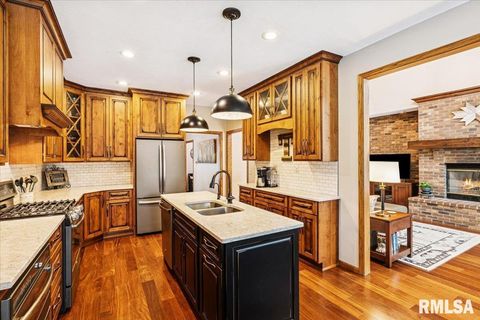 Tiny photo for 2960 265TH Street, De Witt, IA 52742 (MLS # QC4270081)