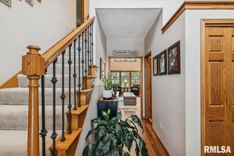 Tiny photo for 2960 265TH Street, De Witt, IA 52742 (MLS # QC4270081)