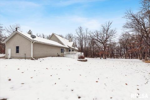 Tiny photo for 2960 265TH Street, De Witt, IA 52742 (MLS # QC4270081)