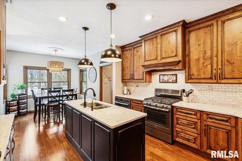 Tiny photo for 2960 265TH Street, De Witt, IA 52742 (MLS # QC4270081)