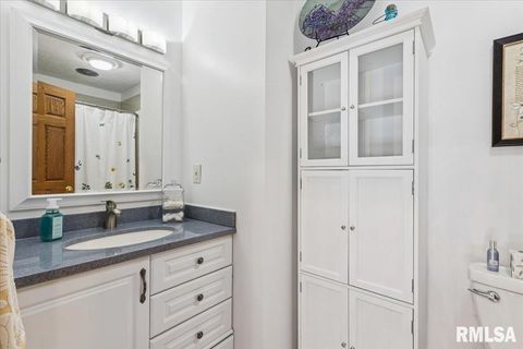 Tiny photo for 2960 265TH Street, De Witt, IA 52742 (MLS # QC4270081)