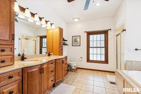 Tiny photo for 2960 265TH Street, De Witt, IA 52742 (MLS # QC4270081)