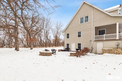 Tiny photo for 2960 265TH Street, De Witt, IA 52742 (MLS # QC4270081)
