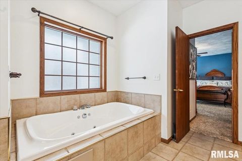 Tiny photo for 2960 265TH Street, De Witt, IA 52742 (MLS # QC4270081)