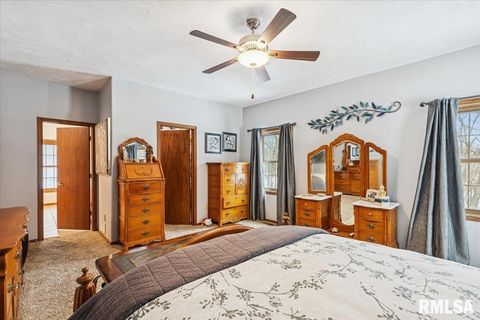 Tiny photo for 2960 265TH Street, De Witt, IA 52742 (MLS # QC4270081)