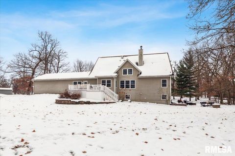 Tiny photo for 2960 265TH Street, De Witt, IA 52742 (MLS # QC4270081)