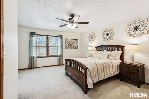 Tiny photo for 2960 265TH Street, De Witt, IA 52742 (MLS # QC4270081)