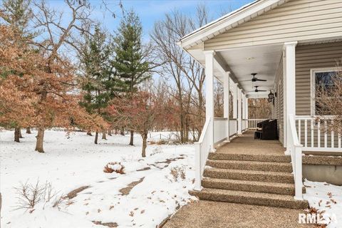 Tiny photo for 2960 265TH Street, De Witt, IA 52742 (MLS # QC4270081)