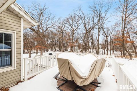 Tiny photo for 2960 265TH Street, De Witt, IA 52742 (MLS # QC4270081)