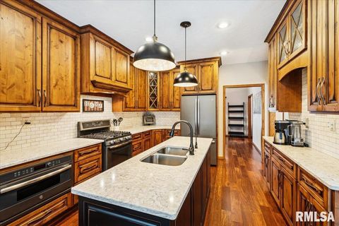 Tiny photo for 2960 265TH Street, De Witt, IA 52742 (MLS # QC4270081)