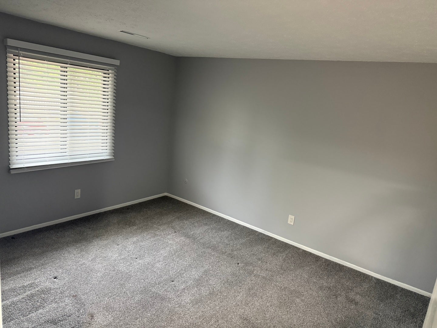 3405 Holiday Court 5