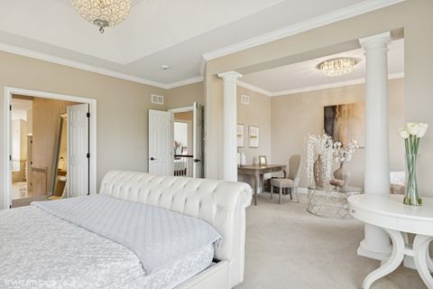 Tiny photo for 28 Shenandoah Circle, South Barrington, IL 60010 (MLS # 12520153)