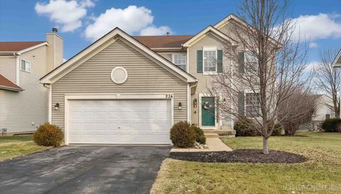 Photo of 226 Woodland Park Circle, Gilberts, IL 60136 (MLS # 12542454)