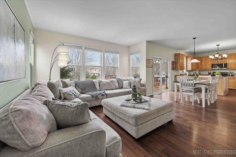 Tiny photo for 226 Woodland Park Circle, Gilberts, IL 60136 (MLS # 12542454)