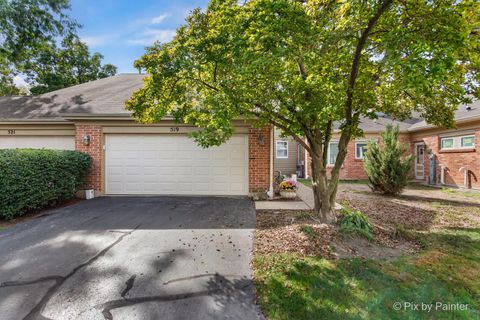 Photo of 519 Shagbark Drive, Elgin, IL 60123 (MLS # 12516744)