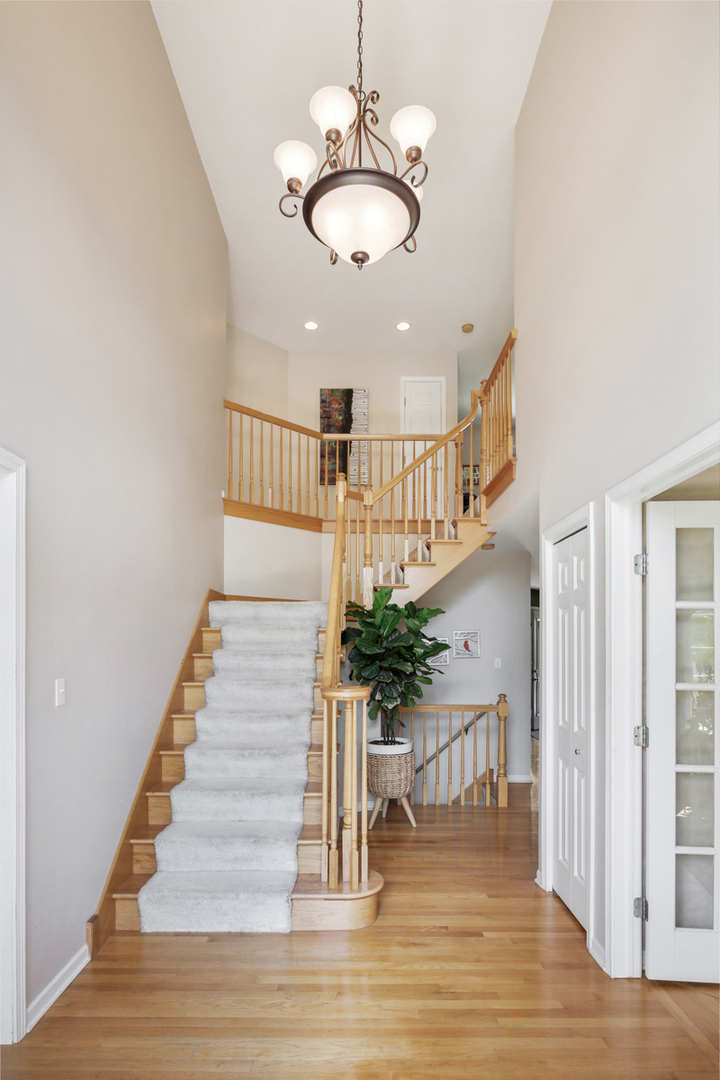 3203 Hickory Creek Drive