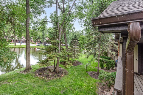 Tiny photo for 8127 Chestnut Drive #58C, Palos Hills, IL 60465 (MLS # 12790114)