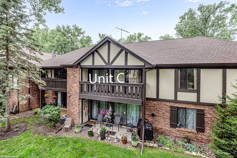 Photo of 8127 Chestnut Drive #58C, Palos Hills, IL 60465 (MLS # 12790114)