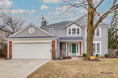 939 Belle Isle Lane Vernon Hills IL 60061