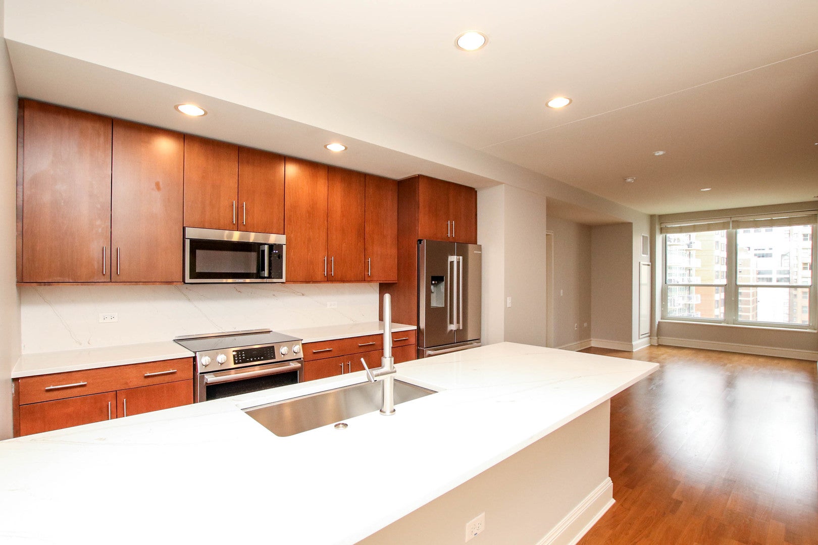 850 N Lake Shore Drive 1310