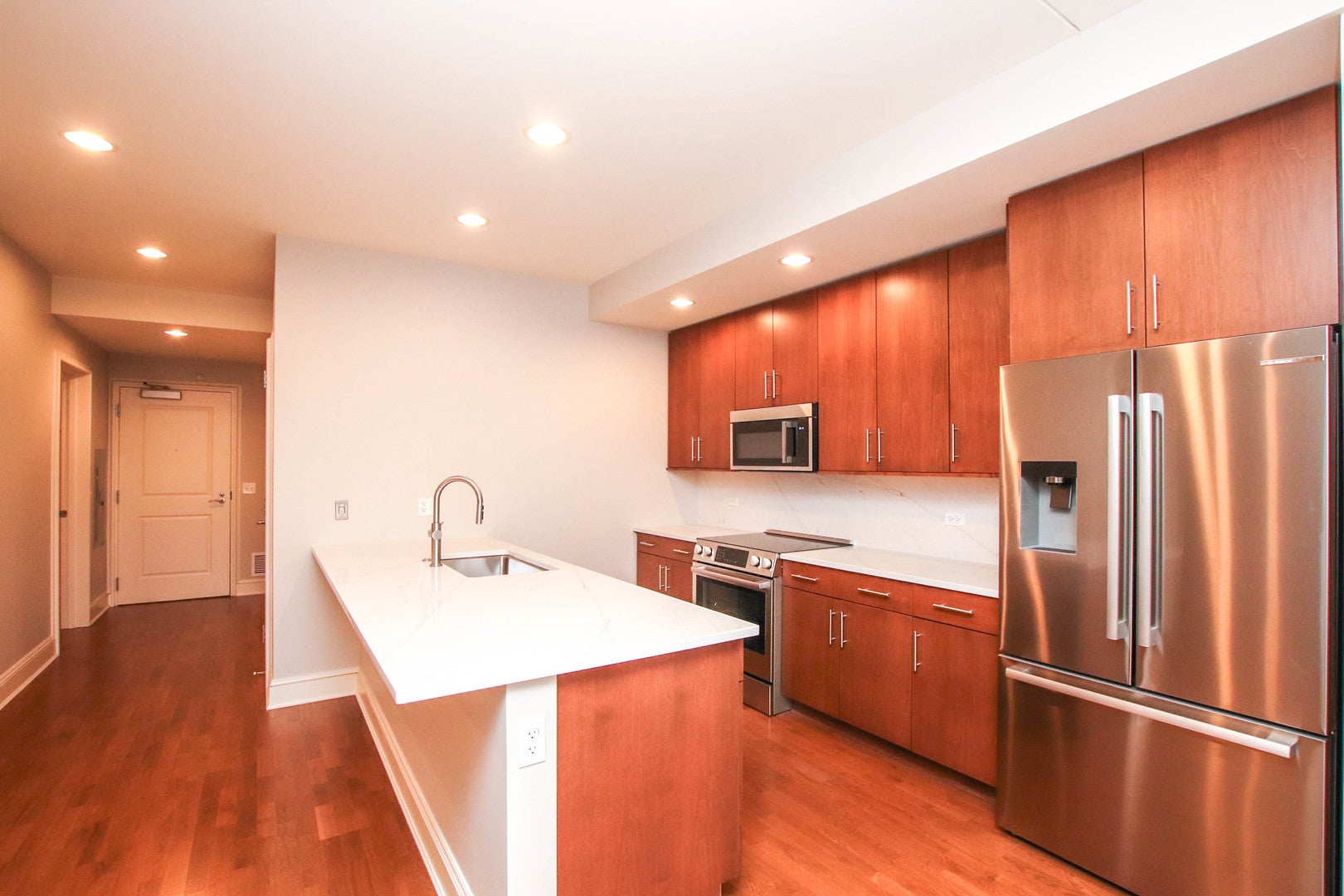 850 N Lake Shore Drive 1310