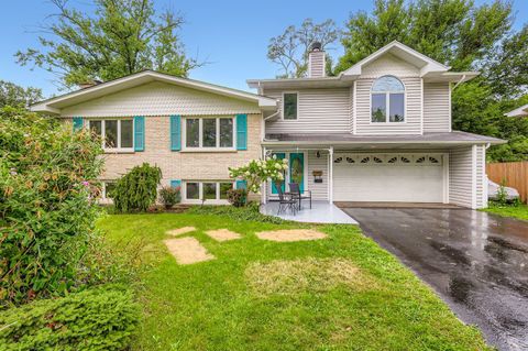 Tiny photo for 5904 Elm Street, Lisle, IL 60532 (MLS # 12447036)